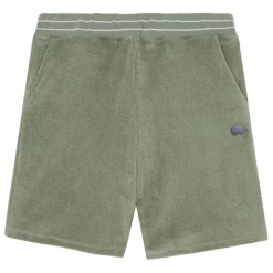 Short Eponge | Fougère