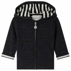 Sweat à Capuche Alexandros Laine | Gris