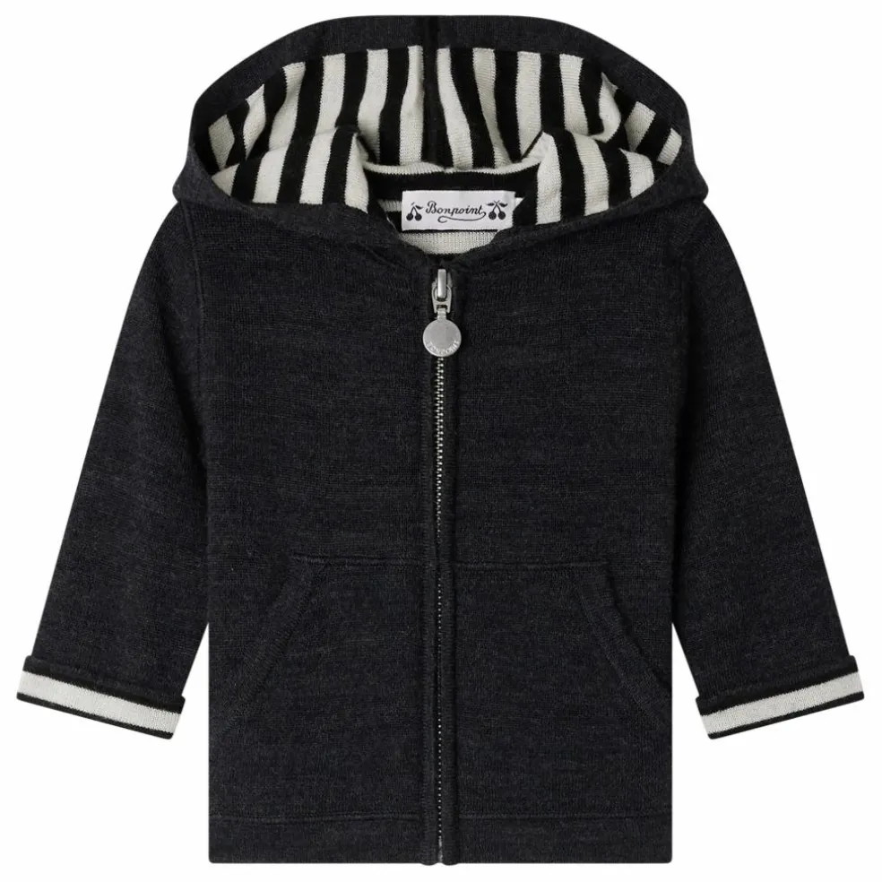 Sweat à Capuche Alexandros Laine | Gris