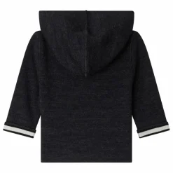 Sweat à Capuche Alexandros Laine | Gris