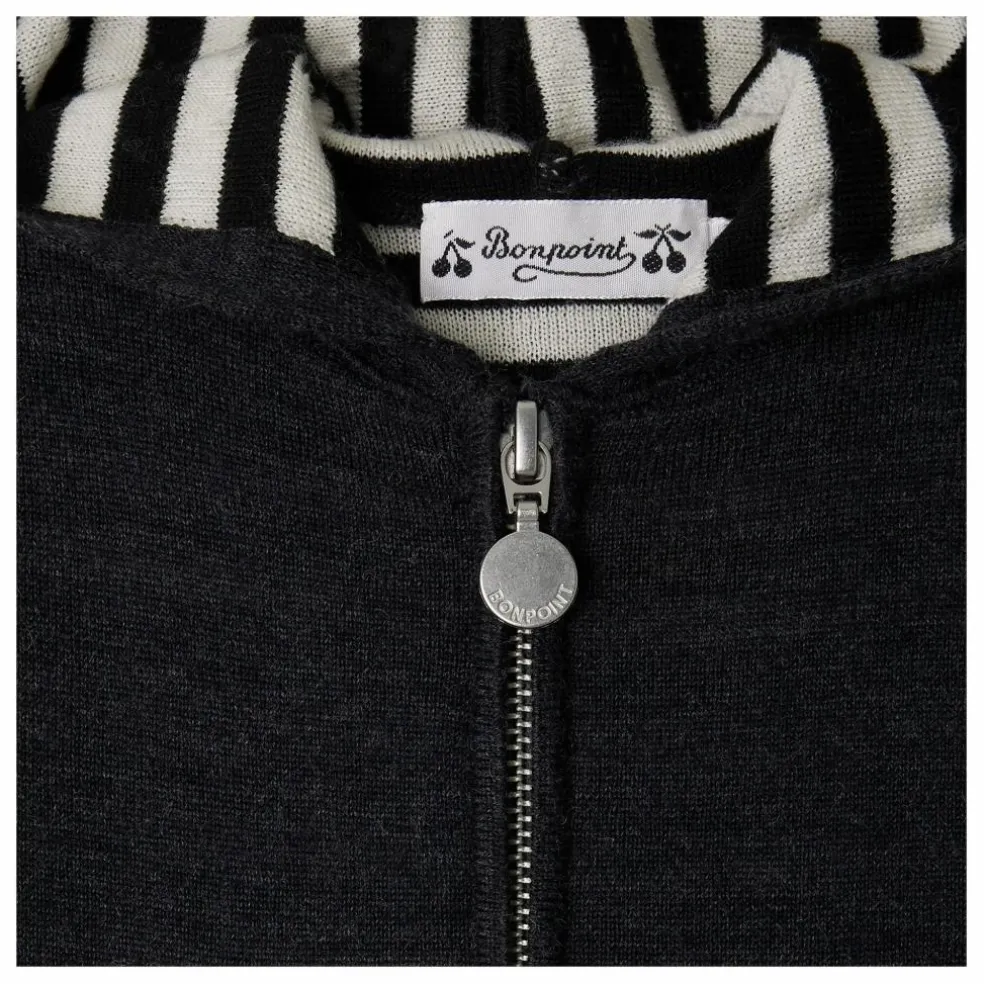 Sweat à Capuche Alexandros Laine | Gris