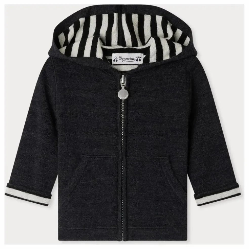 Sweat à Capuche Alexandros Laine | Gris