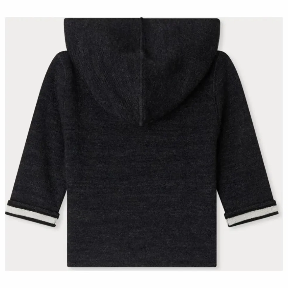 Sweat à Capuche Alexandros Laine | Gris