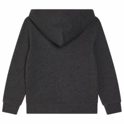 Sweat à Capuche Logo | Gris foncé