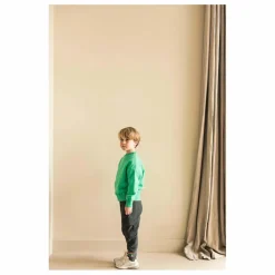 Sweat Art Bird Coton Bio | Vert