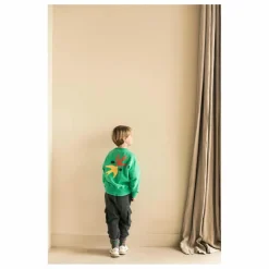 Sweat Art Bird Coton Bio | Vert
