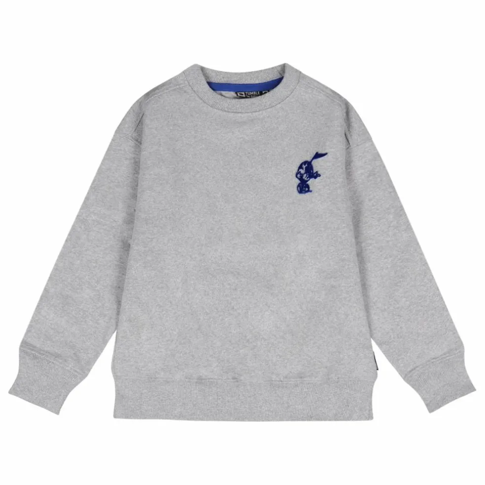 Sweat Athlete Coton Bio | Gris