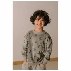 Sweat Bart Trèfles Velours Coton Bio | Gris