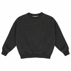 Sweat Bird NR 1 Coton Bio | Gris foncé
