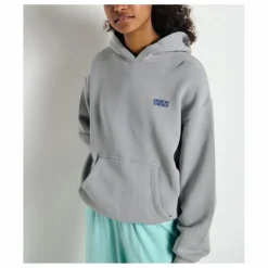 Sweat Capuche Izubird | Gris clair