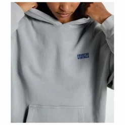 Sweat Capuche Izubird | Gris clair