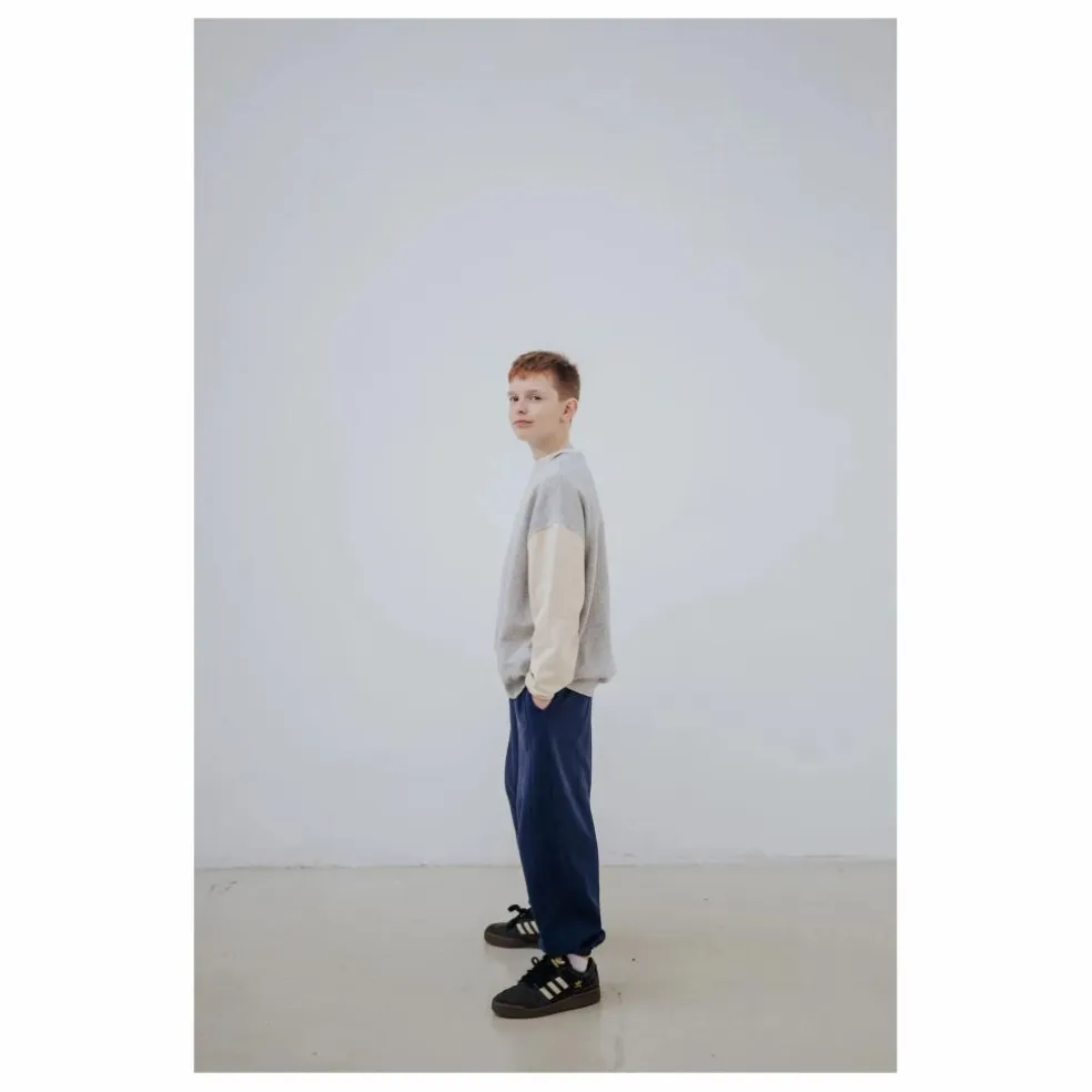 Sweat Cozydrop Tricolore Coton Bio | Gris