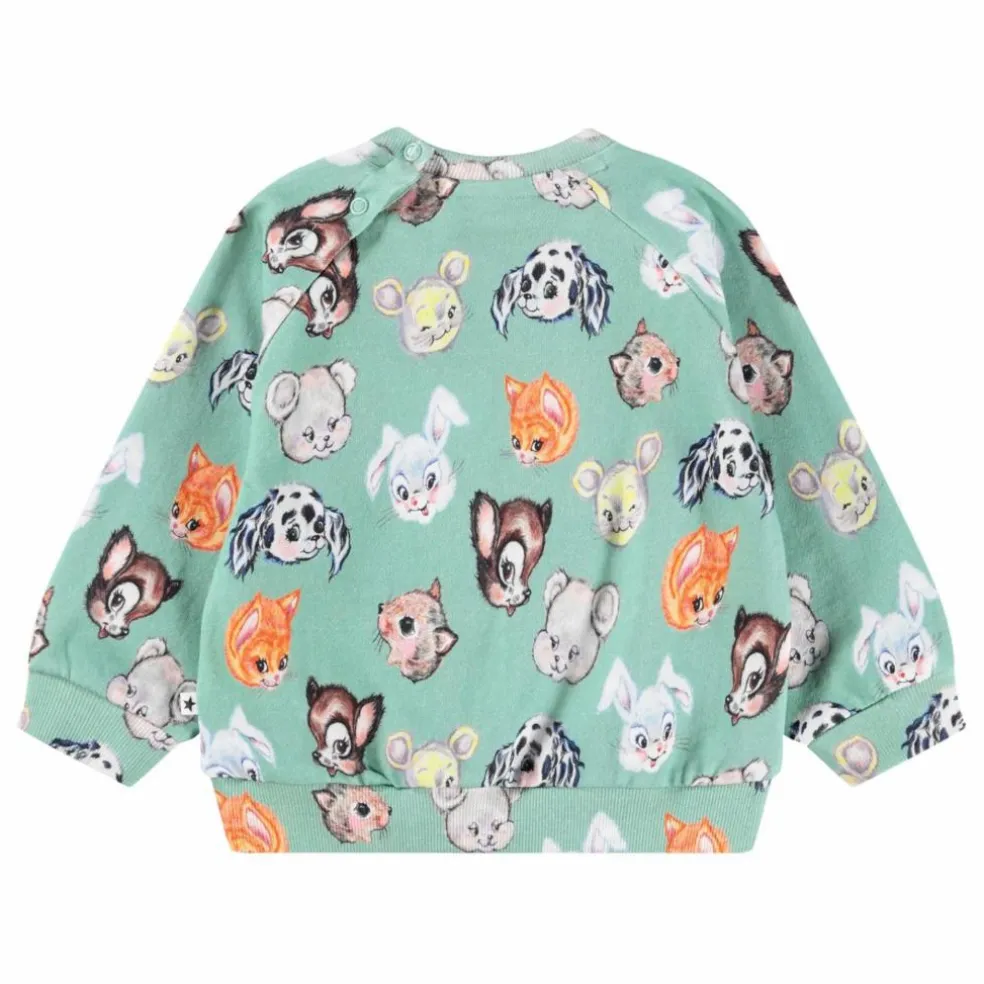 Sweat Disc Animaux Coton Bio | Vert