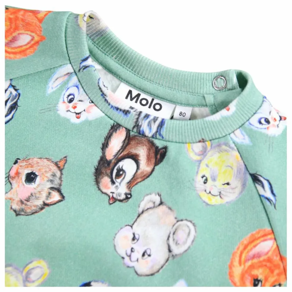 Sweat Disc Animaux Coton Bio | Vert