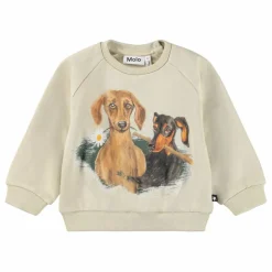 Sweat Disc Coton Bio | Ecru