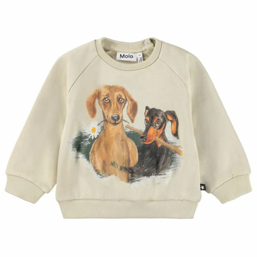 Sweat Disc Coton Bio | Ecru