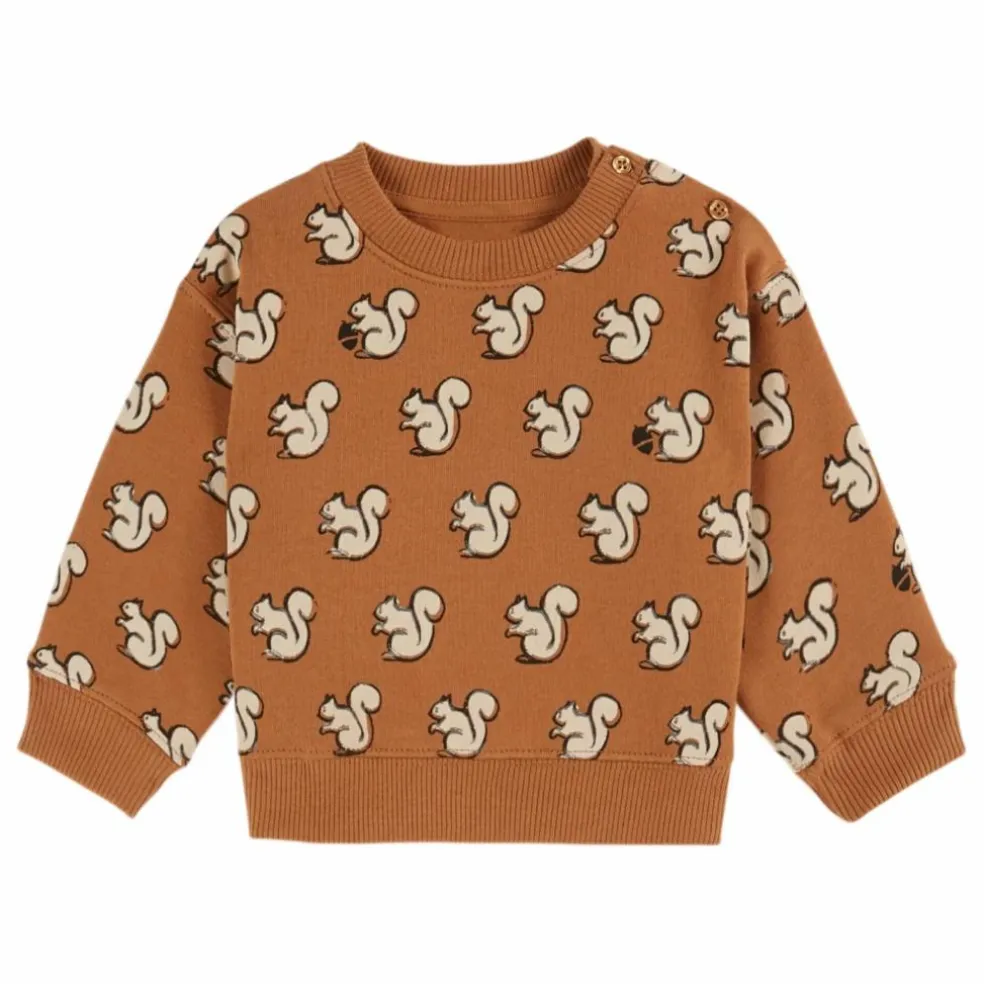 Sweat Ecureuils Coton Bio | Caramel