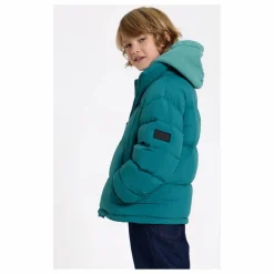 Sweat Hope Coton Bio | Vert