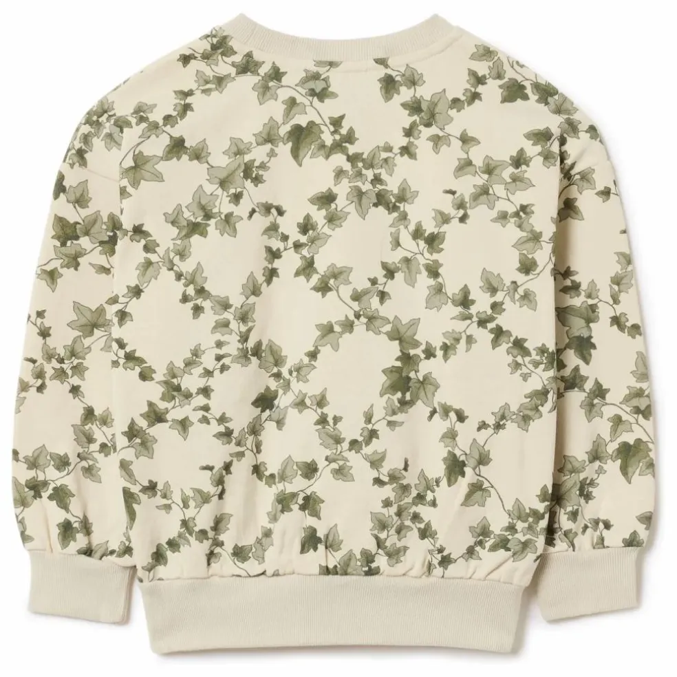 Sweat Ivy Coton Bio | Ecru