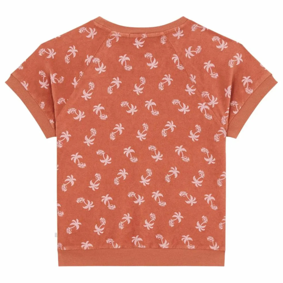 Sweat Manches Courtes Jaco Eponge | Terracotta