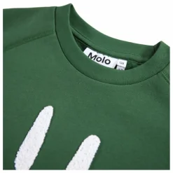 Sweat Mike Coton Bio | Vert
