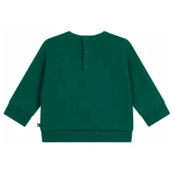 Sweat Petit Bateau | Vert sapin