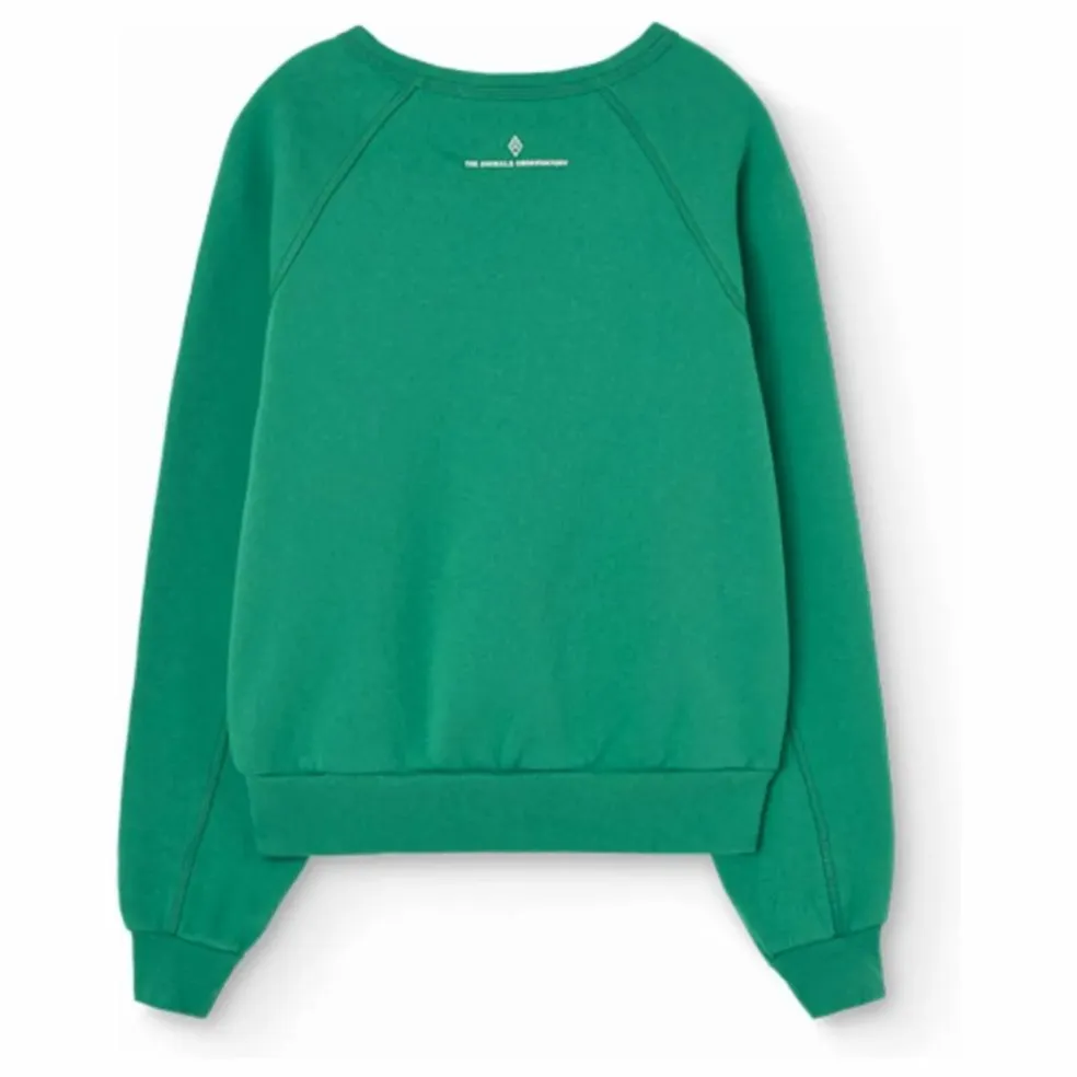 Sweat Shark | Vert
