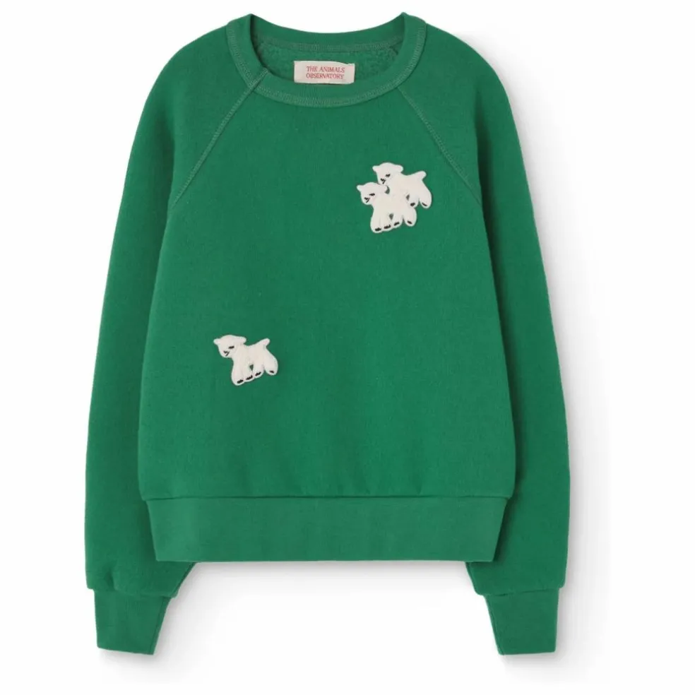 Sweat Shark Mouton | Vert sapin