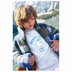 Sweat Skatebird | Gris chiné