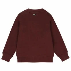 Sweat Slam Dunk Coton Bio | Bordeaux
