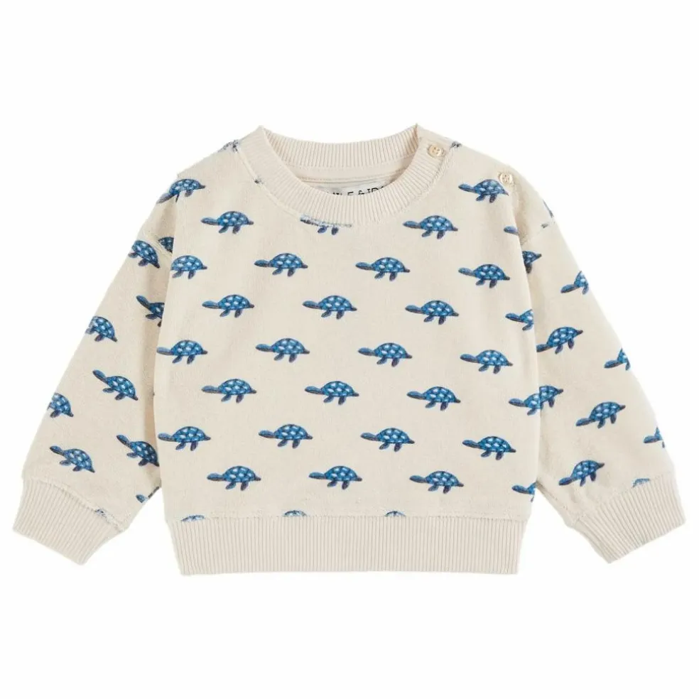 Sweat Tortue Eponge | Ecru