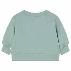 Sweat Walk Coton Bio Bébé | Sauge