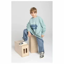 Sweatshirt col rond | Sauge