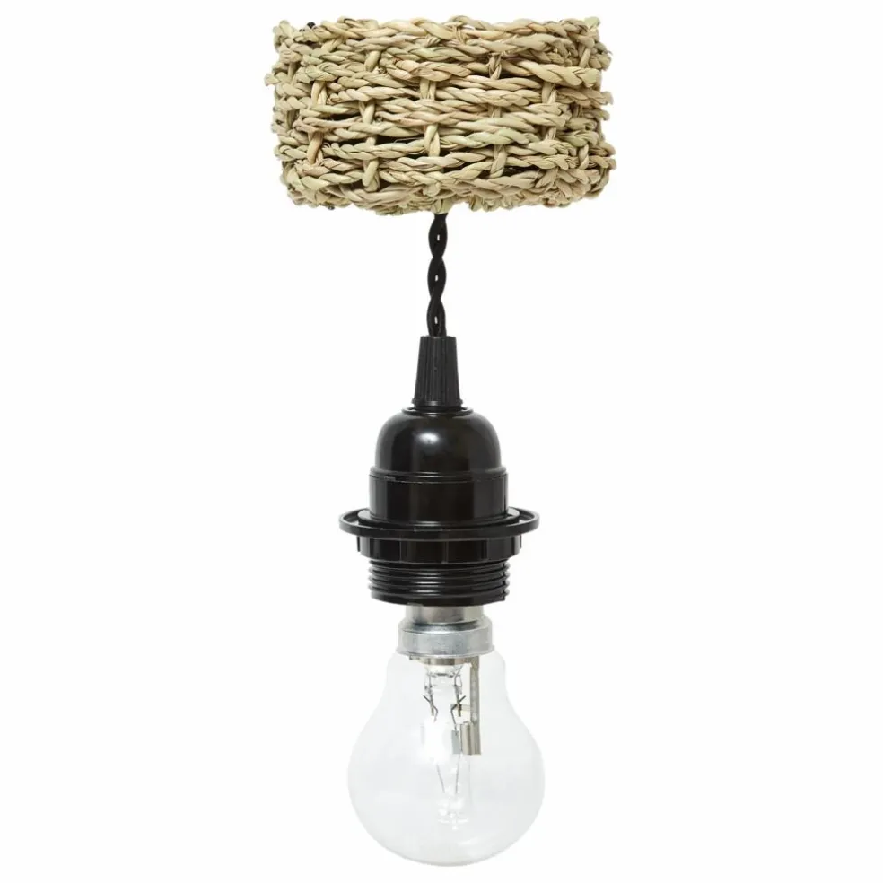 Système électrique, rosace en palm