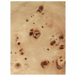 Table Basse Burl