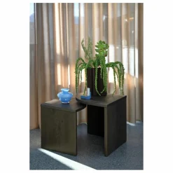 Tables basses Combine - Set de 2 | Brun