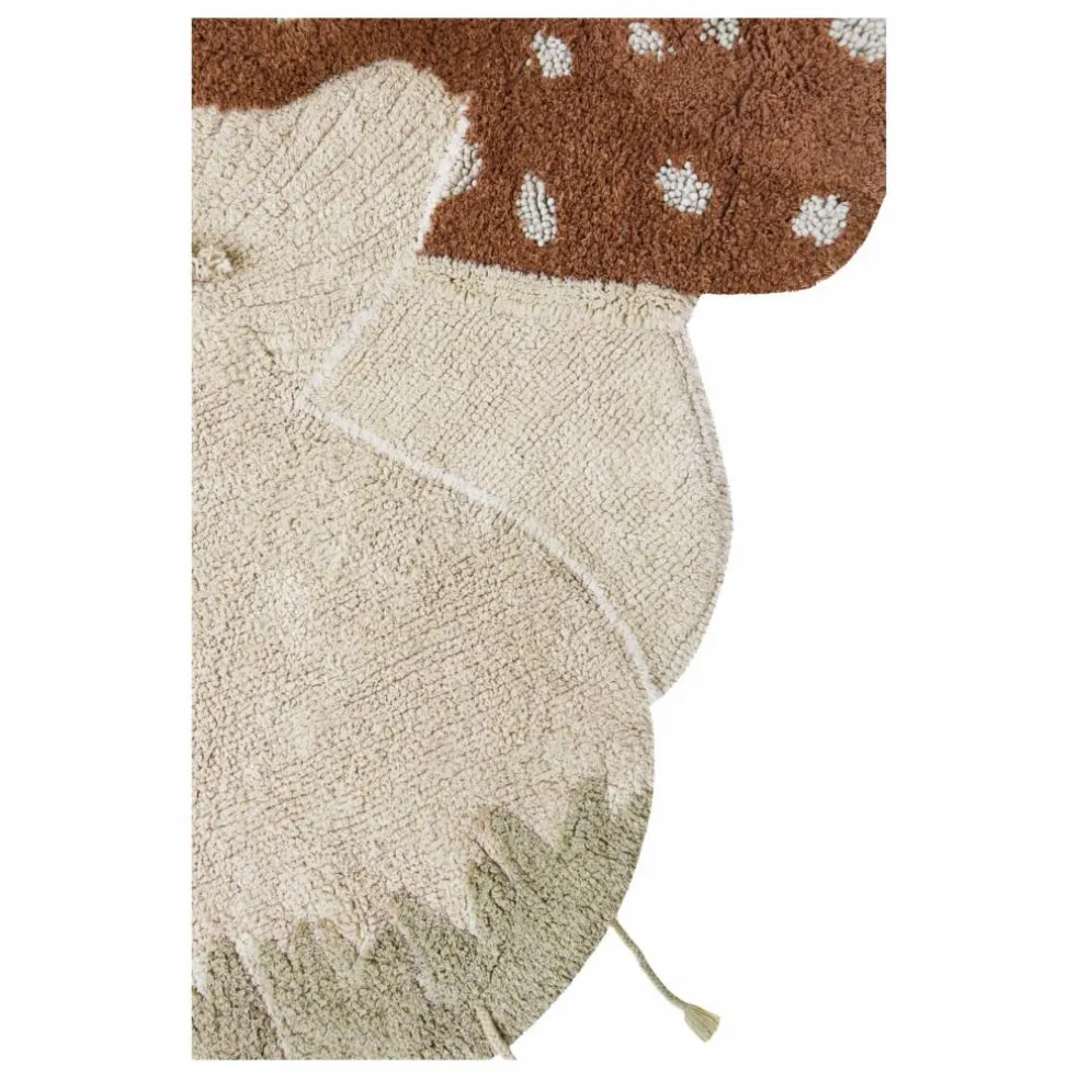 Tapis Boletus