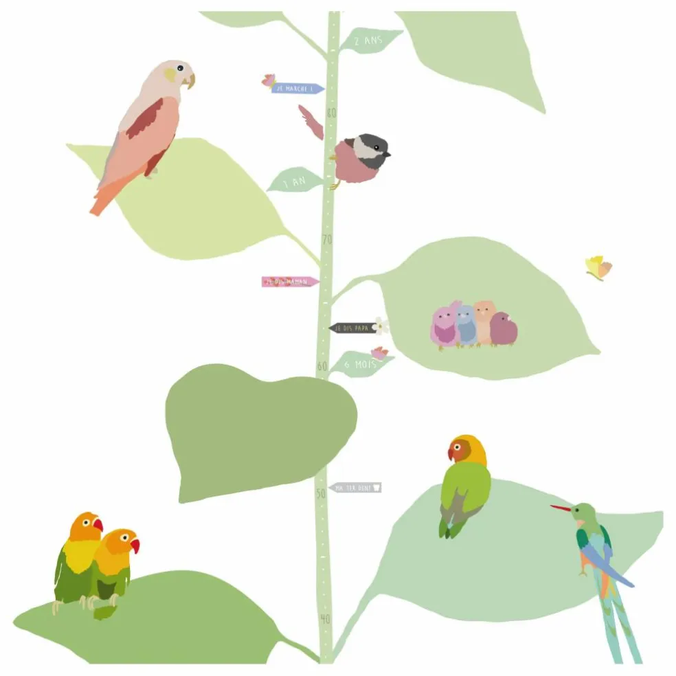 Toise With The Birds - FR