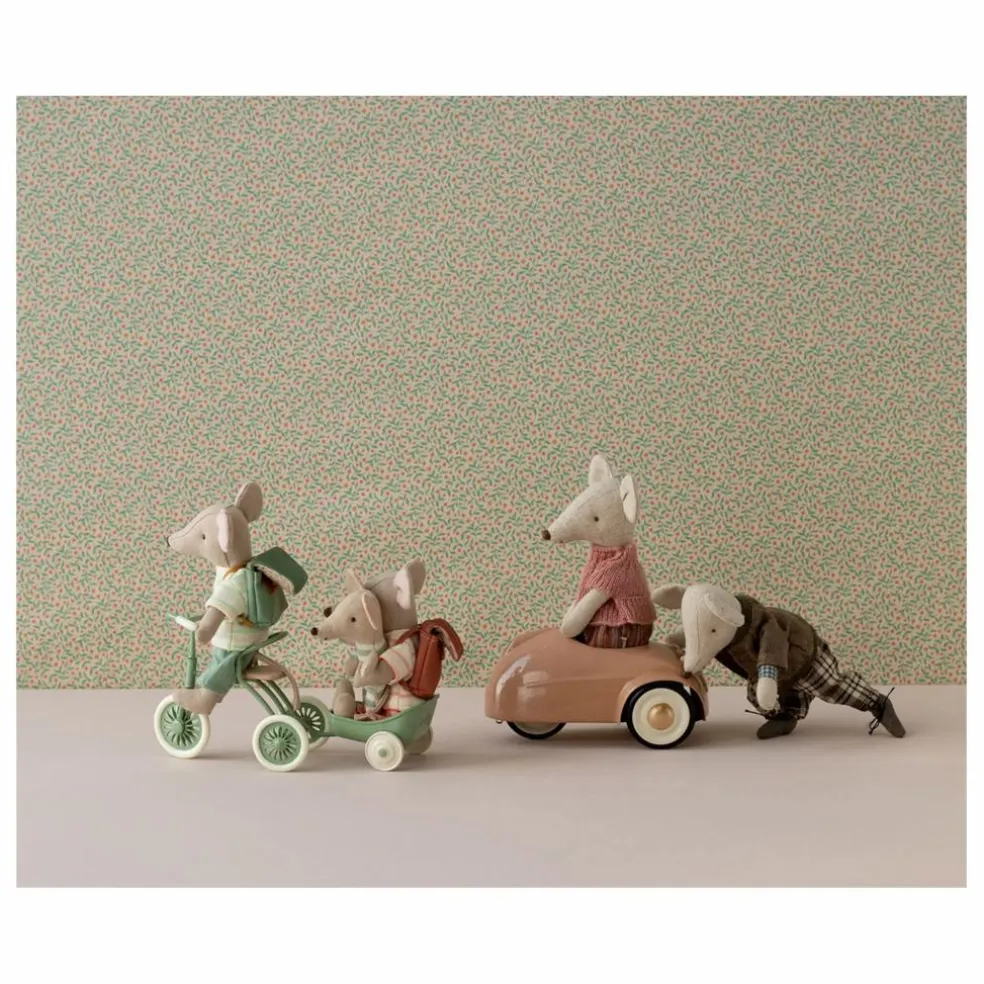 Tricycle et son abri | Vert