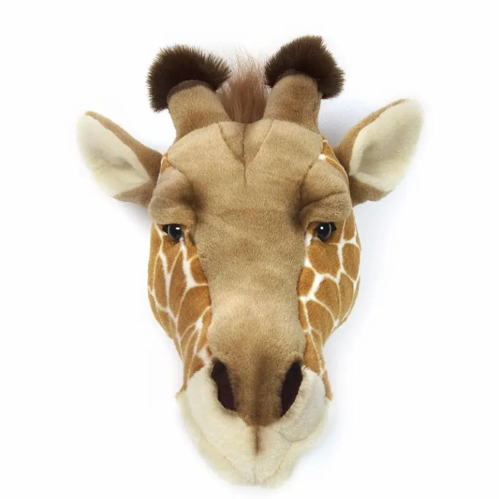 Trophée Girafe | Fauve
