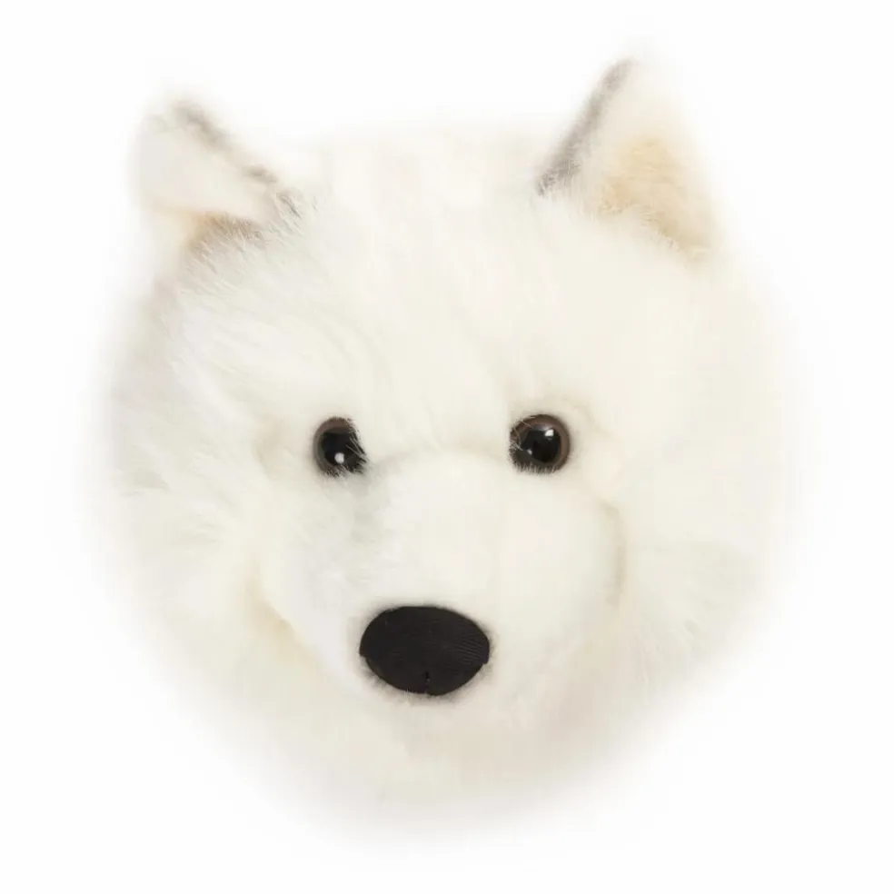 Trophée Loup Blanc