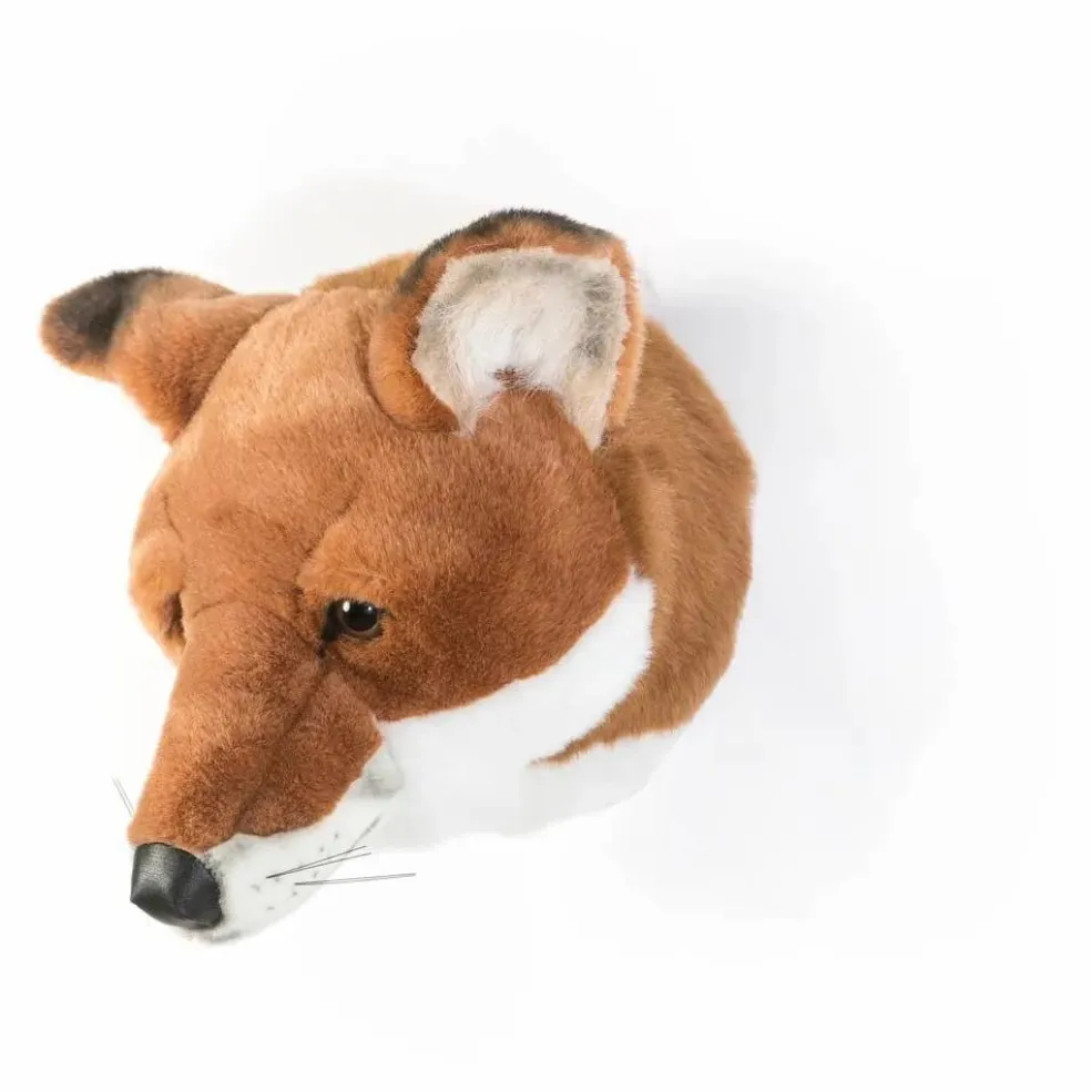 Trophée Renard | Brun roux