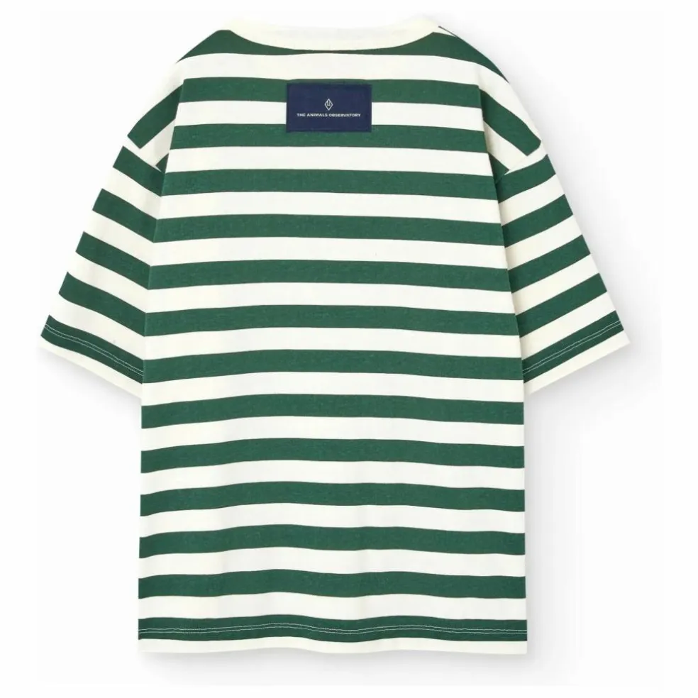 T-shirt Collie Rayé | Vert