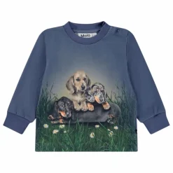 T-shirt Eloy Chiens Coton Bio | Bleu