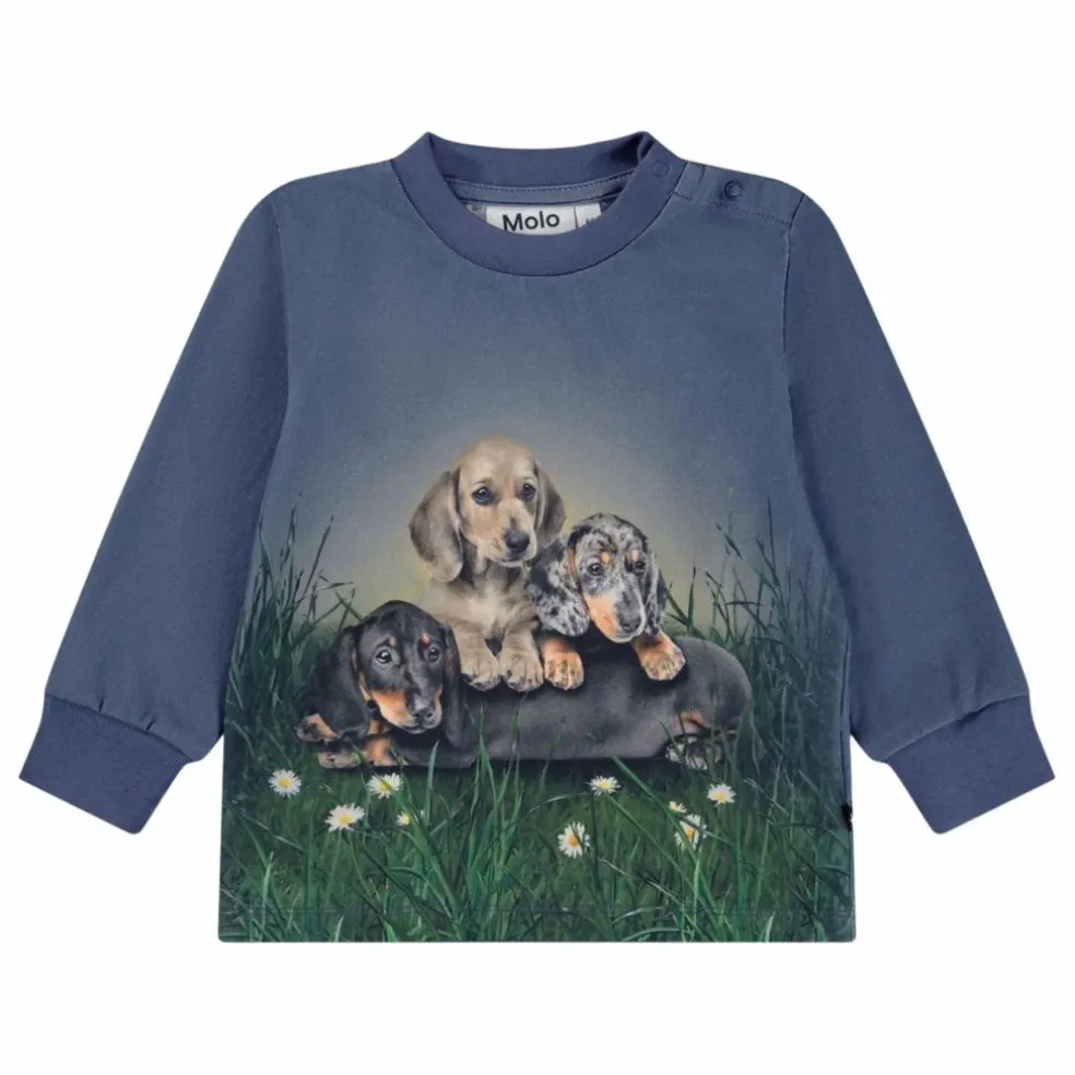 T-shirt Eloy Chiens Coton Bio | Bleu