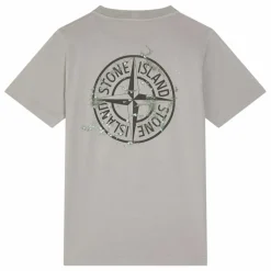 T-shirt Forest Compass | Gris