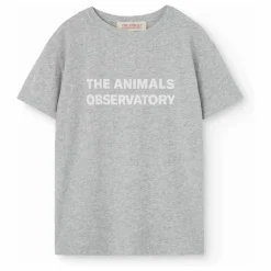 T-shirt Orion | Gris chiné