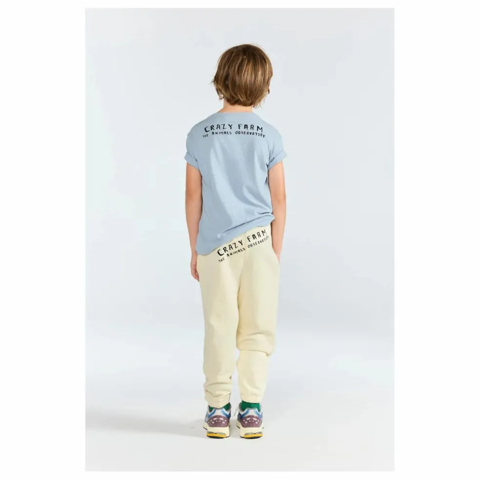 T-shirt Rooster Coton Bio | Bleu gris