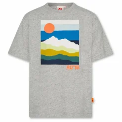 T-shirt Silas Landscape Coton Bio | Gris