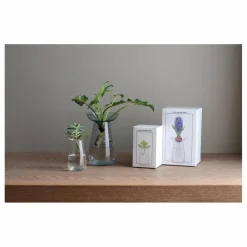 Vase en verre Aquaculture | Gris